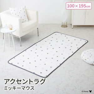 y|Cg10{zsV^t fBYj[ ANZgO (~bL[}EX) ؍ Cu 100×195cm O J[ybg }bg LeBO O~ rO}bg LN^[ ObY Mtg 