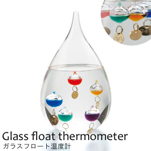 sCTSt333-204 KXt[gxv L yFun Sciencez KIxv u TCGX Ȋw C  KX CeA 킢  Mtg v[g Vzj zj 