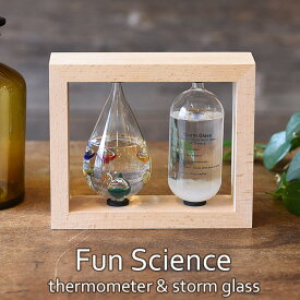 【ポイント20倍】《CTS》333-272 【Fun Science】温度計＆ストームグラス ガリレオ温度計 ストームグラス インテリア小物 ディスプレイ小物 サイエンス 科学 温度計 ガラス インテリア 333-272 【北海道・沖縄・離島配送不可】