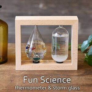 y|Cg20{zsCTSt333-272 yFun SciencezxvXg[OX KIxv Xg[OX CeA fBXvC TCGX Ȋw xv KX CeA 333-272 yk