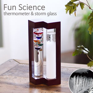 y|Cg20{zsCTSt333-273yFun SciencezxvXg[OX KIxv Xg[OX CeA fBXvC TCGX Ȋw xv KX CeA Mtg v