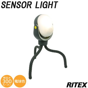 sRITEX/FKtasl-097 ǂłZT[Cg300 LEDCg hƃCg Ɩ OƖ K[fCg Ɩ dr ykCEEzsz