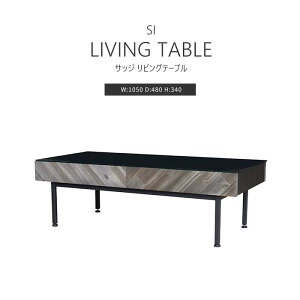 sGART|KgtTbW rOe[u 105×48 ot KX ؐ X`[r Z^[e[u [e[u e[u  Be[W ubN C_XgA 11017631 