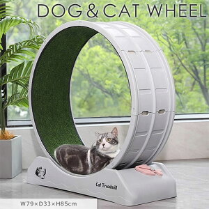 sGTKtLzC[ ABS ^Cv LbgzC[ LzC[ jOzC[ ]zC[ [i[ É Â S ^s XgX L ˂ lR Lpi ybgpi 