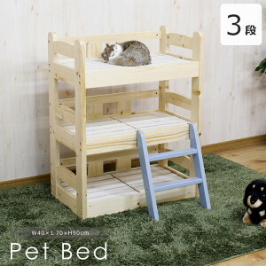 sGTKtybgxbh 3i ybgpxbh I[V[Y ʔN ʋC Lp p ybgp L ˂ lR Lpi   Ck pi ybgpi ybgObY ybg\t@ Lbg^[ L