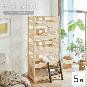 sGTKtybgxbh 5i Lbg^[ t LbgnEX L^[ ybgpxbh I[V[Y ʔN ʋC Lp ybgp L ˂ lR Lpi ybgpi ؐ VR pC