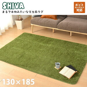 sHAGiHARA/LFtŐO V[@ 130×185cm AEghAC St X|[c  E^ 낮 ~ ybg zbgJ[ybgΉ g[ }bg Ő ` CeA 24062290