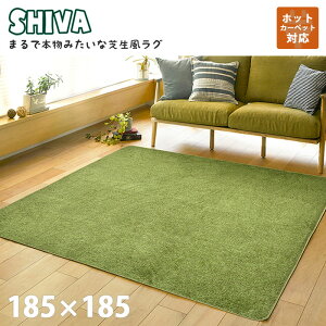 sHAGiHARA/LFtŐO V[@ 185×185cm AEghAC St X|[c  E^ 낮 ~ ybg zbgJ[ybgΉ g[ }bg Ő ` CeA 24062291