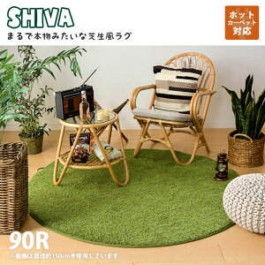 sHAGiHARA/LFtŐO V[@ ~` a90cm AEghAC St X|[c  E^ 낮 ~ ybg zbgJ[ybgΉ g[ }bg Ő CeA 240622930 