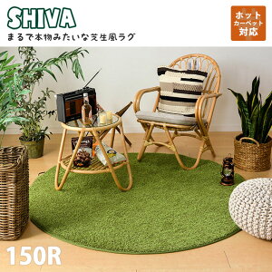 sHAGiHARA/LFtŐO V[@ ~` a150cm AEghAC St X|[c  E^ 낮 ~ ybg zbgJ[ybgΉ g[ }bg Ő CeA 240622950 