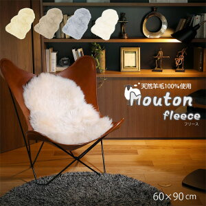 sHAGiHARA/LFt[gt[X y60×90cmz t[X O 1lp 1p VR [g ӂ 炩 100 ۉ Vv tBbV V CeA _m-511-f 60×90 x[W uE z