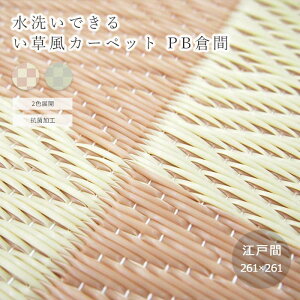 y|Cg15{zsHAGiHARA/LFty]ˊ4.5z 261×261 􂢂ł J[ybg PBq 􂦂 R rj[ J[ybg ~   SU ܂肽߂ ϐ a Jo[ 