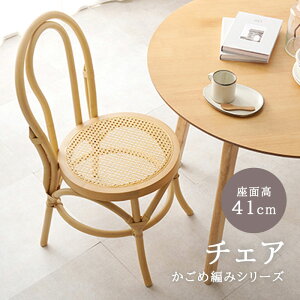 s/LFt^ `FA _CjO`FA ߕ҂ ֎q  CX  킢 k ؍ CeA i` Vv JtF ][g ٕ҂ ʍ41cm VR rc-1243 y