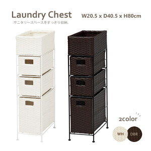 y|Cg10{zs/LFth[`FXg 20.5cm 80cm X gC[ Tj^[[ ^ [I [XgbJ[[ Vv _ RpNg g V l