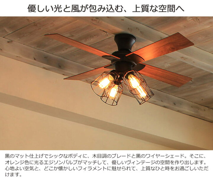 楽天市場】【ポイント12倍】《JAVAIO EIF》ジャヴァロエルフ  