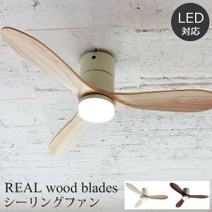 �y�|�C���g12�{�z�sJAVALOEIF�t�W�����@���G���t �V�[�����O�t�@�� 4�����C�g Modern Collection REAL wood blades �����R���t�� ���M�d���E�d���^�u�������v�Ή� �f�U�C���Ɩ� ���r���O ������ ���_�� 