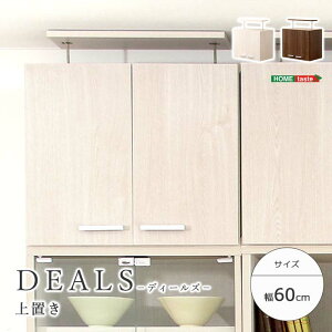 sHOMEtastet[ƋyDEALS-fB[Y-zu60cm ǖʎ[ Lrlbg fBXvCbN RNV ς_t ˂莮 nk ϐk V GRt@ώ R hL ؖڒ i