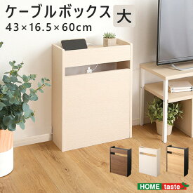 《HOMEtaste》ケーブルボックス 大 3色対応 収納ボックス 収納ケース ルーター収納 電源タップ収納 コンセント付き サイドテーブル 小物入れ NKRB-H60