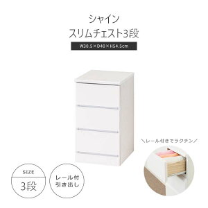 sNVItVC X`FXg3i 30.5cm 54.5cm [`FXg ^X ߗގ[ m[ XCh[o i l炵 V RpNg Vv zCg 23696