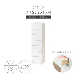 sNVItVC X`FXg7i 30.5cm 115.5cm nC`FXg ^X ߗގ[ m[ XCh[o i e V Vv  zCg 23698y