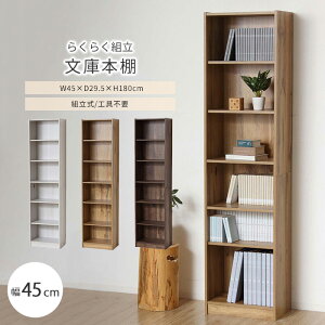 sNVIt炭炭gɖ{IW450 45cm {I I ubNVFt I[vbN RNVbN fBXvCbN fBXvCVFt [I I zCg i` _