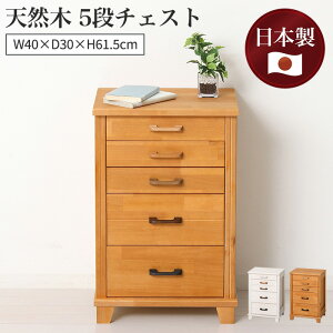 sNVItVR5i`FXg 40cm rt { Y TCh`FXg [`FXg ^X rO[ to ؐ V l炵 RpNg i` Vv 