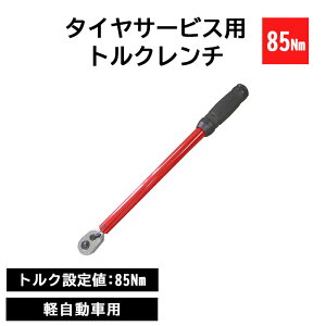 _Tt^sREXt^CT[rXpgN` 85Nm 4in1CpNg\PbgZbgt yԗp VOi gNݒsv ^C  eiX H bh tr127-85