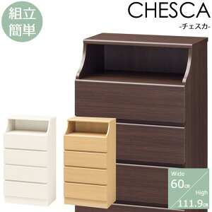 yzMIzsS-ingtCHESCA `FXJ `FXg 4i 60cm [Ƌ ^X ߗގ[ rO[ gȒP XCh[o ؐ V l炵 k Vv  i