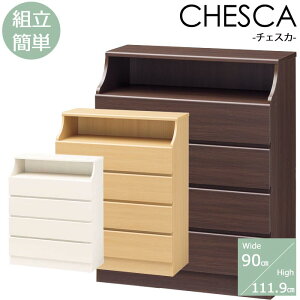 yzMIzsS-ingtCHESCA `FXJ `FXg 4i 90cm [Ƌ ^X ߗގ[ rO[ gȒP XCh[o ؐ V l炵 k Vv  i