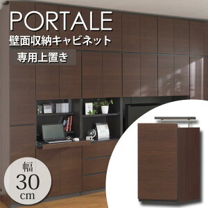 y|Cg10{zyzMzsS-ingtPORTALE|^[ rO ǖʎ[Lrlbg[u] 300Xs416X550`650mm ς莮 ˂^ [Ƌ t ϐk Ɛk e {