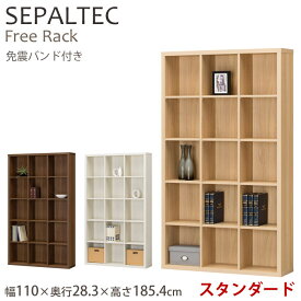 《S-ing》SEPALTEC　セパルテック　フリーラック　幅110cm　横3マス　高さ5マス　【スタンダードタイプ】オール移動棚　収納ラック　オープンラック　シンプル　免震バンド sep-1911