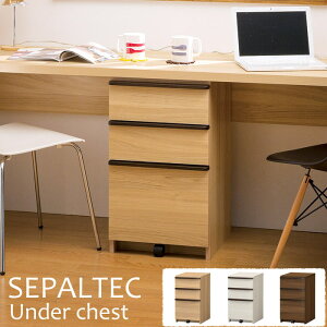 y|Cg10{zsS-ingtSEPALTEC ZpebN A_[`FXg LX^[t TChS TCh`FXg fXNS TChbN fXNp[I fXN ׋ p\RfXN P