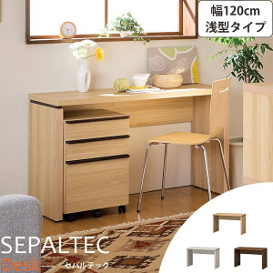y|Cg10{zsS-ingtSEPALTEC ZpebN fXN 120cm×s45.8cm ^^Cv {  ׋ wK p\RfXN PCfXN [NfXN wKfXN e[N ݑΖ [g