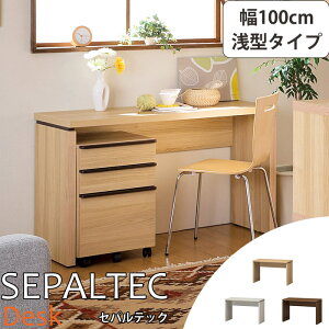 sS-ing/StSEPALTEC ZpebN fXN 100cm×s45.8cm ^^Cv y󒍐Yz {  ׋ wK p\RfXN PCfXN [NfXN wKfXN e[N ݑΖ [g