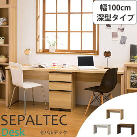 《S-ing/S》SEPALTEC セパルテック デスク 幅100cm×奥行54.8cm 深型タイプ【受注生産】日本製 勉強机 学習机 パソコンデスク PCデスク ワークデスク sep-em-1000desk_f