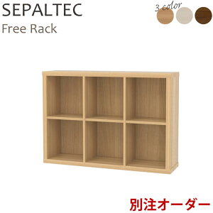 sS-ing/StZpebN t[bN 110×77.4cm y󒍐Yz { ړI I I[vbN VFt bN I {I I fBXvCbN [ G{  rO 