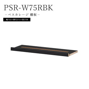 _ނ[ IvVp[c^sS-ingtyXJ[W [I(ړIŒ) XsjO[[ h~\ ދ[ ubN psr-w75rbk