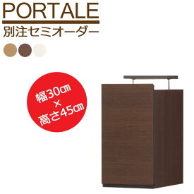 【日本製/お客様組立】【受注生産タイプ】【動画配信中】《S-ing/S》PORTALE ポルターレ リビング 上置き 別注 セミオーダー 幅30cm 高さ 45cm 有効天井高さ 225～235cm 耐震ラッチ 壁面収納　por-em4530d