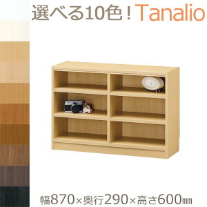 y|Cg5{zsS-ingt^iI [I 870×s290×600mm I[vbN }`bN VFt {I I ɖ{ CF DVD rO e ؐ ړI Ж؂悯 { Y z