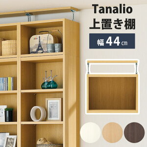 sS-ing/St^iI ʒ I[_[ uI 440×s290×365`585mm [I I[vbN }`bN ς莮 ˂ ؐ ϐk Ɛk { Y zAfqh Vv 