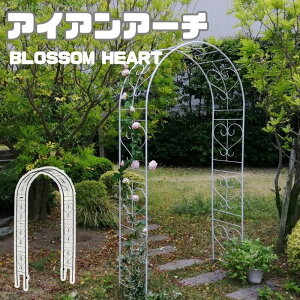 y|Cg10{z[^]sSMSTtACAA[` uBlossom Heartv`ubTn[g`  S n[g  tFX K[fA[`  ^ K[fjO O c^  GgX GN