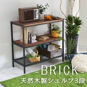 y|Cg10{zsSMSTtBRICK ubN VRؐVFt 3i I[vbN fBXvCbN ACA k g AeB[N _ ~bhZ`[ uE pr-860-3brn [^]y