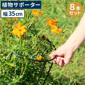 �y�|�C���g10�{�z�sSMST/LF�t�A�C�A�����A���T�|�[�^�[ ��35 8�{�Z�b�g IF-N0048-8P���s18 ����65 �n�[�t�����O �|��h�~ �L����}�� �X�`�[�� �S�� �x�� ���| �A���T�|�[�g �t�����[�T�|�[�g �؉� 