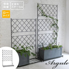 楽天市場 バラ プランターの通販