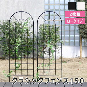 y|Cg10{z[^]sSMSTtNVbNtFX150 [^Cv 2g tFX ACA K[ftFX K[fjO g  d؂ ډB  gX  o | eBX U