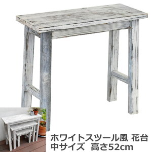 y|Cg10{zsSMSTtzCgXc[ ԑ TCY ؐ VR t[X^h t[bN v^[X^h v^[bN K[fbN |bN  x_ 