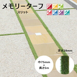 _ڒnplHŁ^sjIrYt[^[t Xbg ŏ28mm×Ж75mm×5m lH tFCNO[ h G΍ h ՔM hJr ÓdCh~ eiXt[ A 