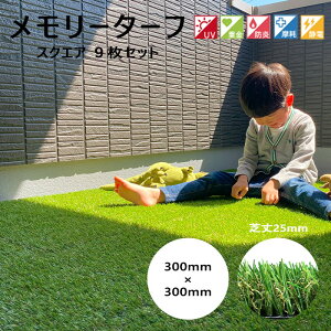 sjIrYt[^[t XNGA ŏ25mm WCg ȒPݒu O\ lH h G΍ hA x R _炩 ӂӂ Ή eX x_ oRj[ 