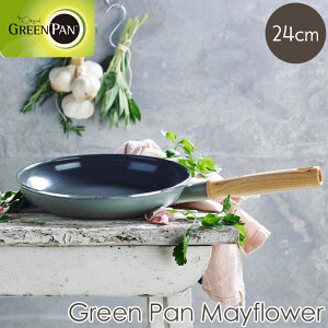 y|Cg10{zsGREEN PAN/YtO[p Ct[ tCp 24cm T[EZ~bN KXEIHEWGgq[^[EnQq[^[Ή ؐnh i` mXe