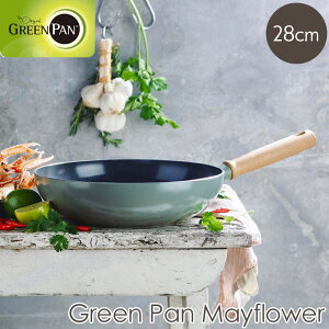 �y�|�C���g10�{�z�sGREEN PAN/Y�t�O���[���p�� ���C�t�����[ �t���C�p�� �E�H�b�N�p�� 28cm �T�[�������E�Z���~�b�N �K�X�EIH�E���W�G���g�q�[�^�[�E�n���Q���q�[�^�[�Ή� �ؐ��n���h�� �i�`��